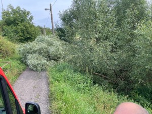img_0053.jpeg