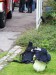 img00027.jpg